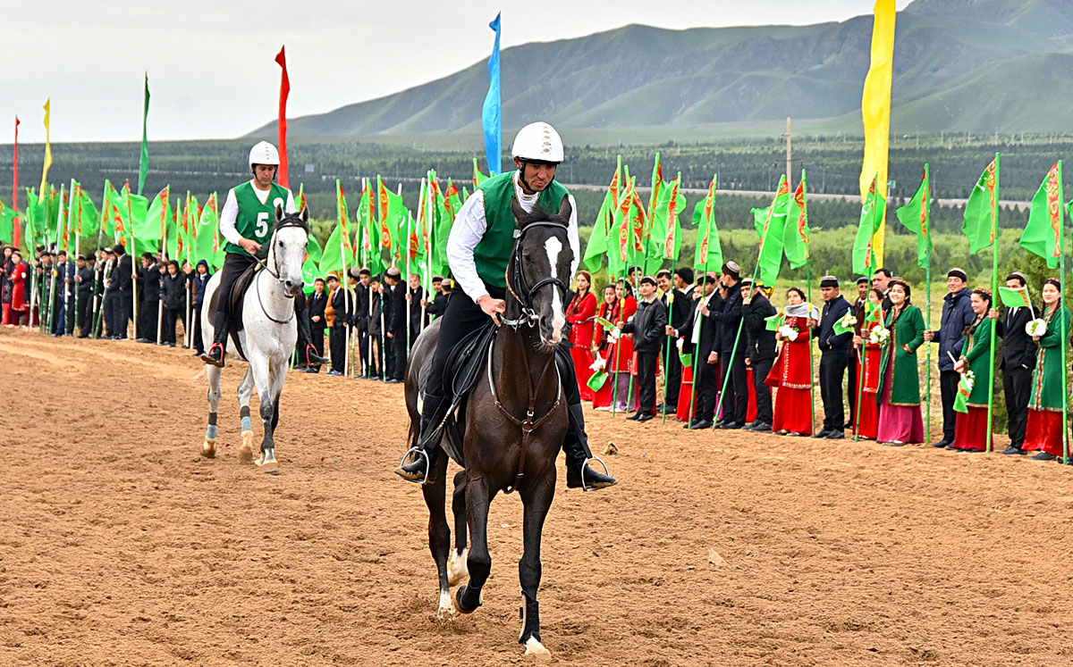 Ahalteke horses show stamina and sport merits at marathon distance