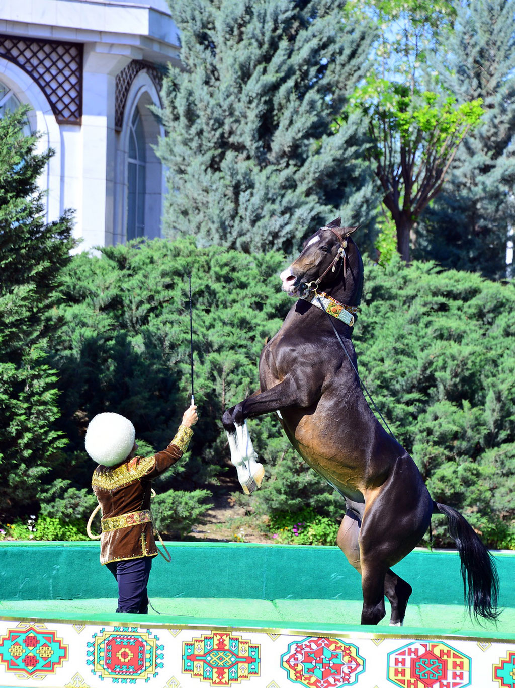 Turkmenistan celebrates the holiday dedicated to ahalteke horse