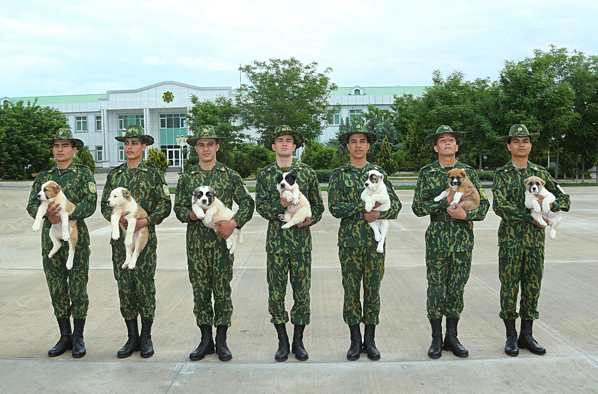 The President of Turkmenistan continues work about alabays and visits frontier outposts 