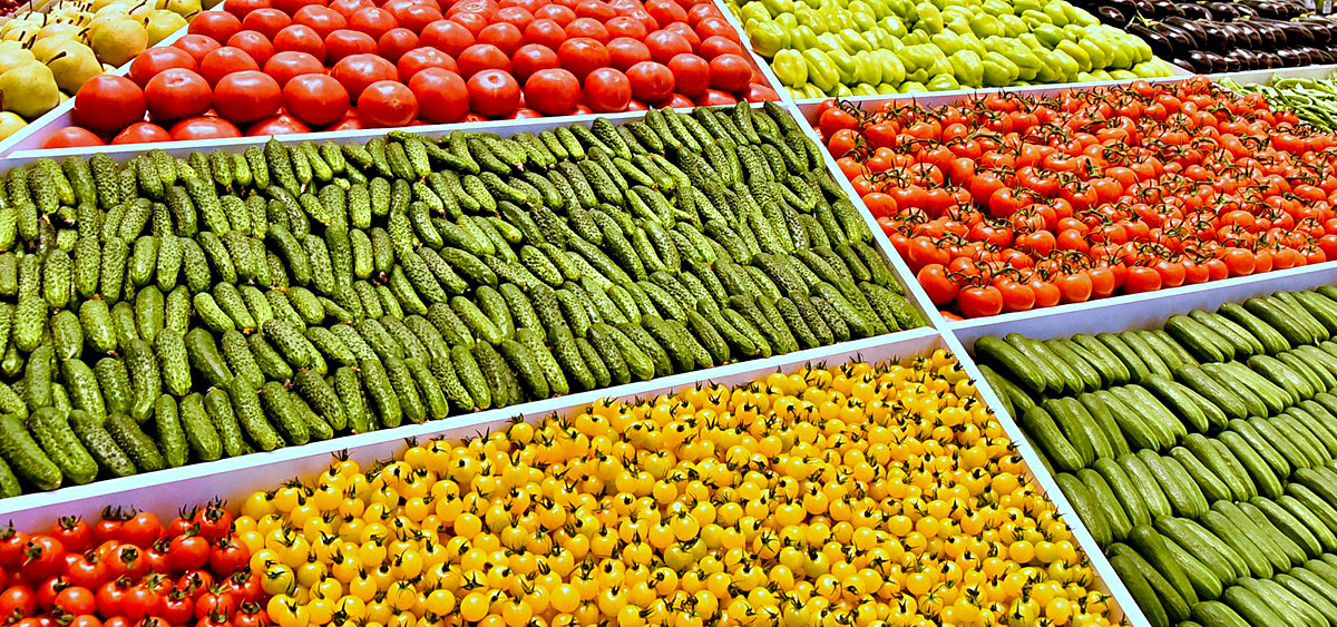 Achievement of Turkmen agricultural complex and innovations in seed production are reviewed in Ashgabat