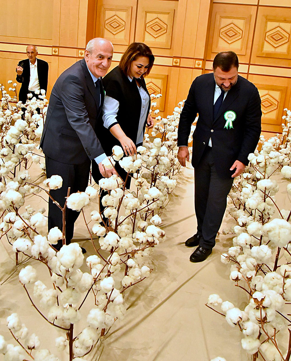 Achievement of Turkmen agricultural complex and innovations in seed production are reviewed in Ashgabat