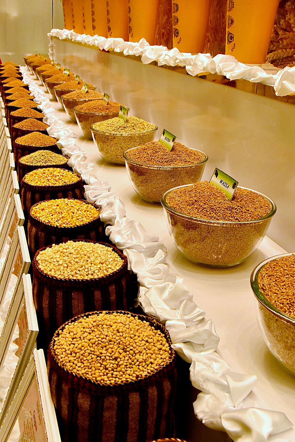 Achievement of Turkmen agricultural complex and innovations in seed production are reviewed in Ashgabat