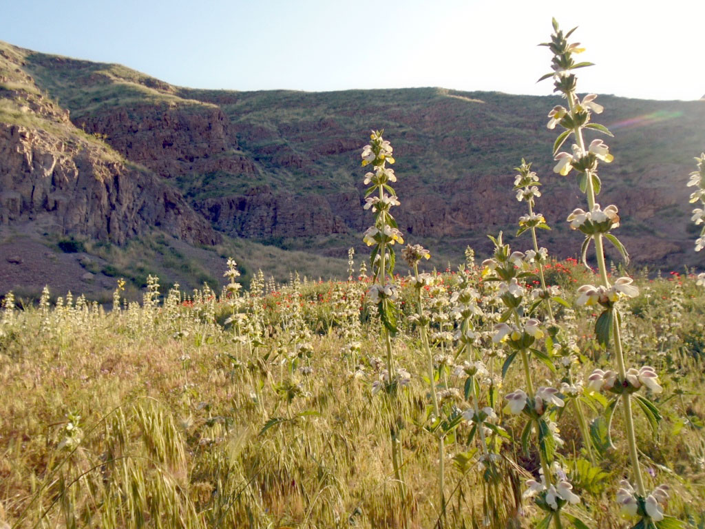 Sustainable land management – is the foundation for country to achieve sustainable economic growth and social progress