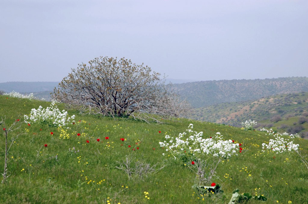 Sustainable land management – is the foundation for country to achieve sustainable economic growth and social progress