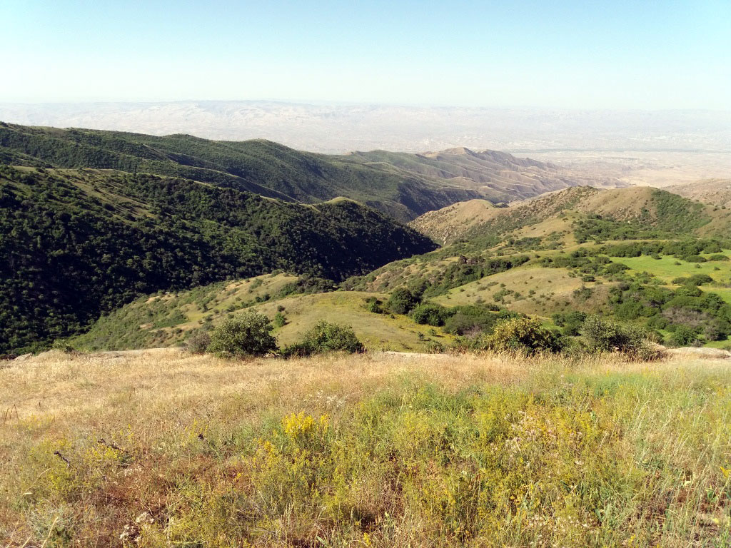 17 августа стартует сезон любительской охоты 