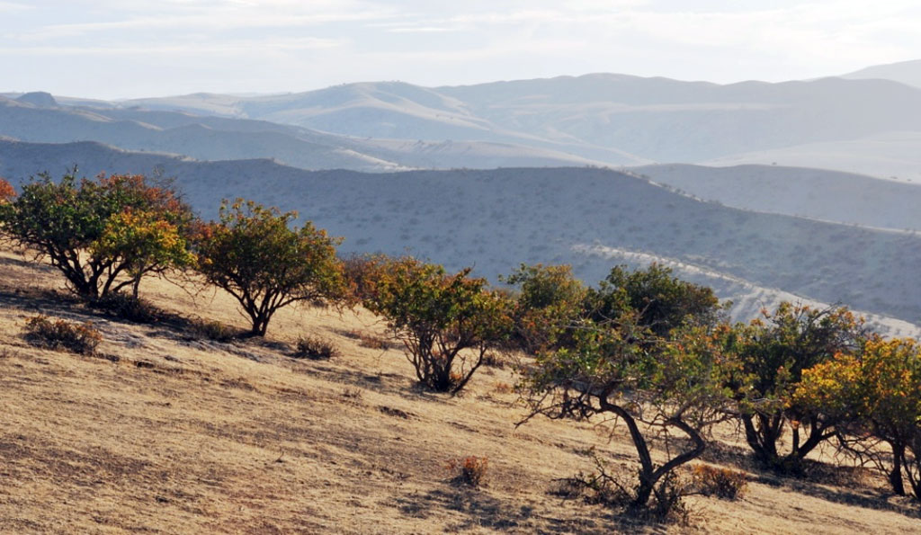 Hunting Season Kicks Off on August 17