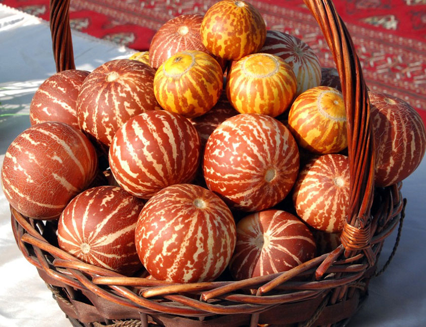 Türkmen bakja ekinlerine urugdaş ösümlikleriň arasynda  dürli endemikler bar