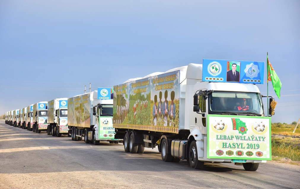 Cotton-picking campaign starts in Ahal, Balkan, Lebap and Mary Velayats