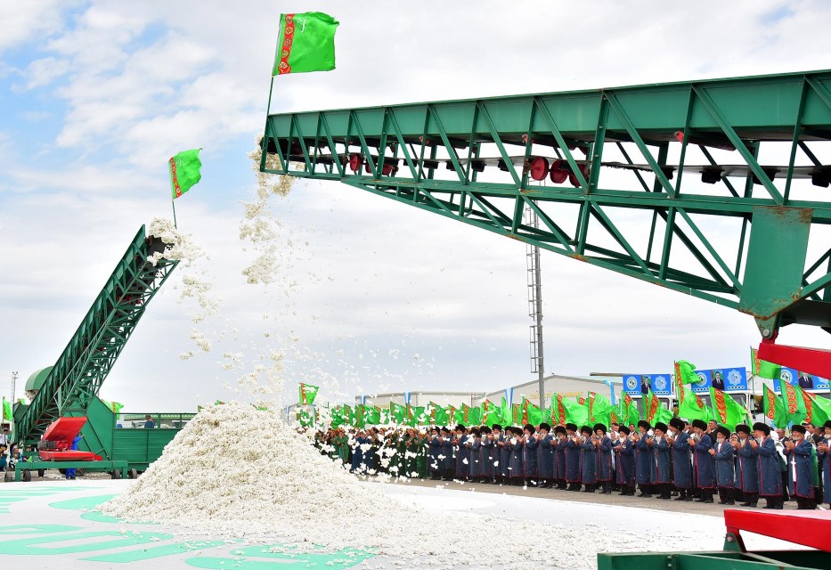 Cotton-picking campaign starts in Ahal, Balkan, Lebap and Mary Velayats