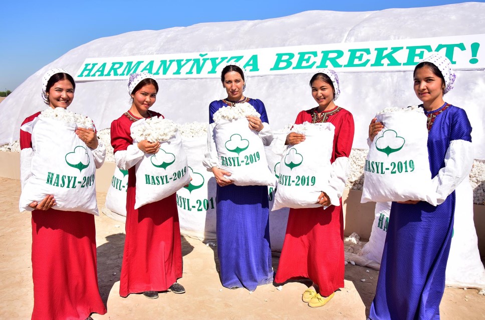 Cotton-picking campaign starts in Ahal, Balkan, Lebap and Mary Velayats