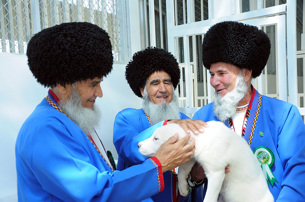 First kennel for breeding alabays is opened in the country 