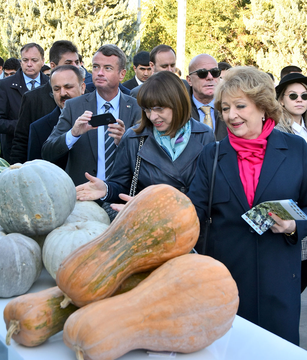 Harvest festival: view of achievements, colours of traditions, atmosphere of cordiality 