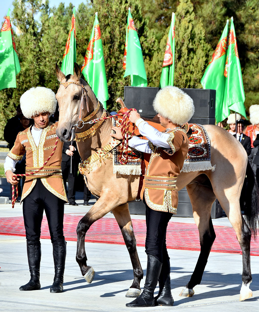 Harvest festival: view of achievements, colours of traditions, atmosphere of cordiality 