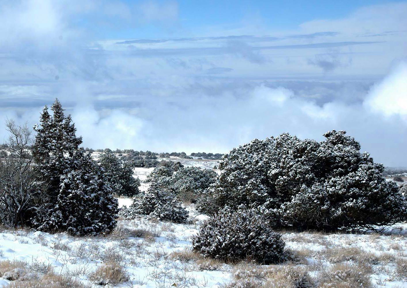 Köýtendagyň gyş manzarlary