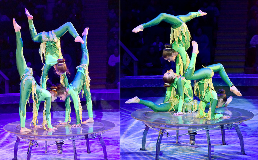 New-Year Circus Show: Spectacular Talent and Magic of Art 