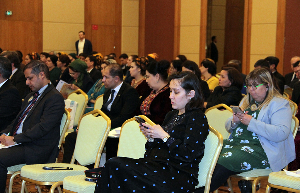 The UNDP Report on Human Development presented in Turkmen capital