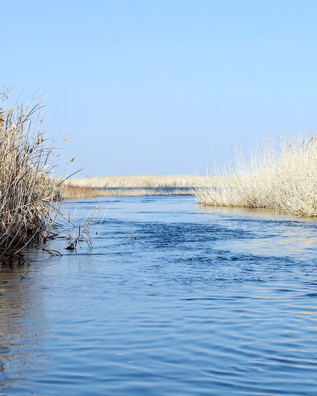 Eraji Nature Preserve: Winter Bird Count