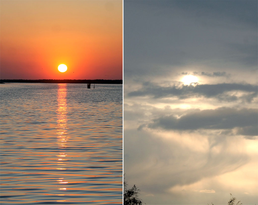 Ýerajy çäkli goraghanasy: guşlaryň gyşky hasabaty hem-de ... türkmen tebigatynyň şahyrana keşbi