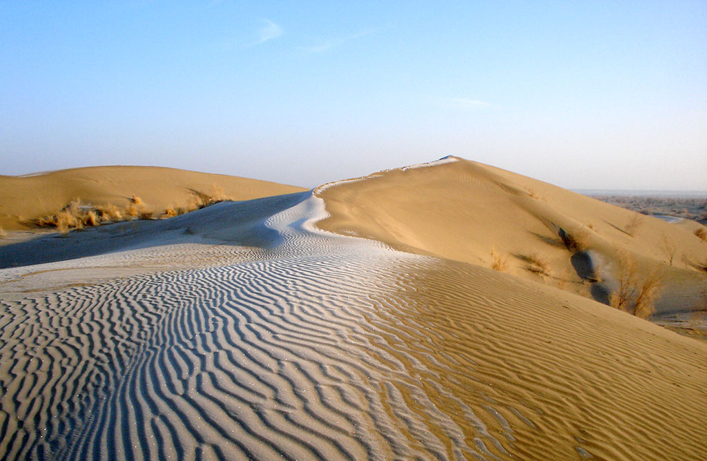 Sebitiň çöllük ekologik ulgamy ÝuNESKO-nyň Bütindünýä mirasynyň Sanawyna girizilmäge hödürlenilýär