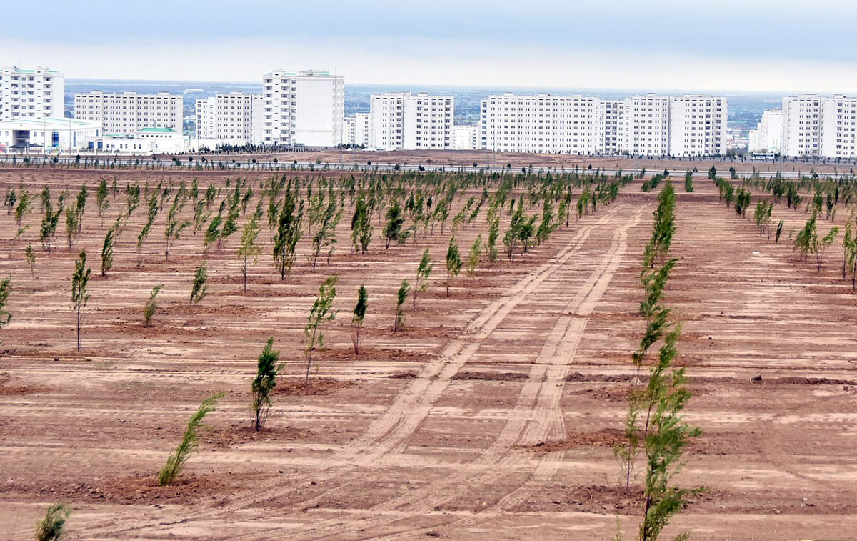 The President of Turkmenistan starts spring green campaign 