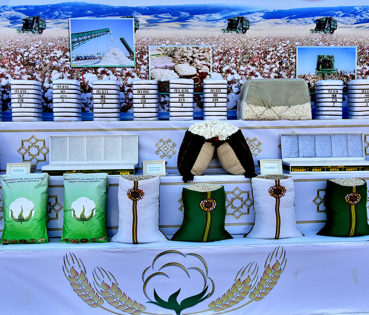 Sowing of cotton starts in Ahal, Balkan, Lebap and Mary Velayats 