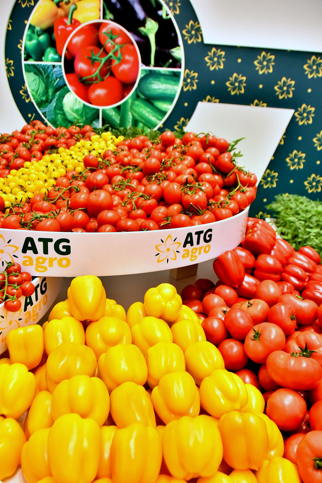 Agricultural project of Dashoguz entrepreneurs: Production of agricultural crops, meat and diary products