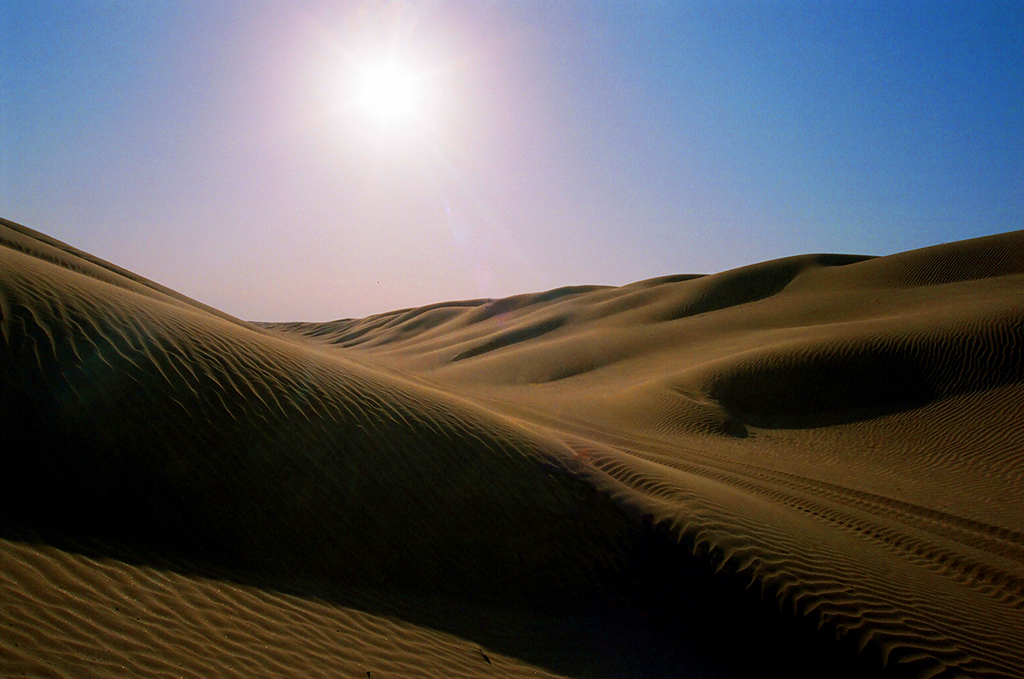 Ecological diplomacy – the main priority of foreign policy of Turkmenistan 