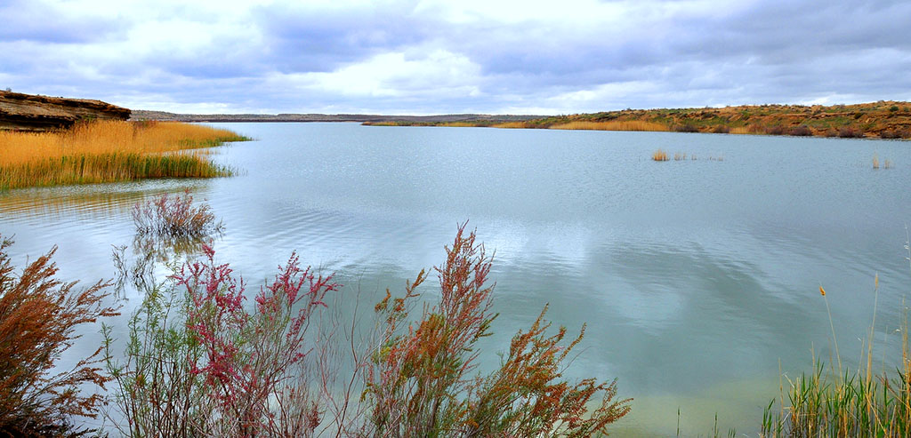 Ecological diplomacy – the main priority of foreign policy of Turkmenistan 