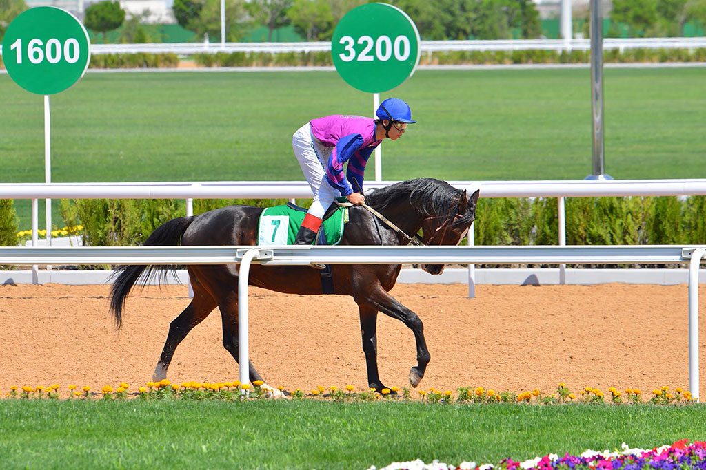 The best jockeys of the country take part in races