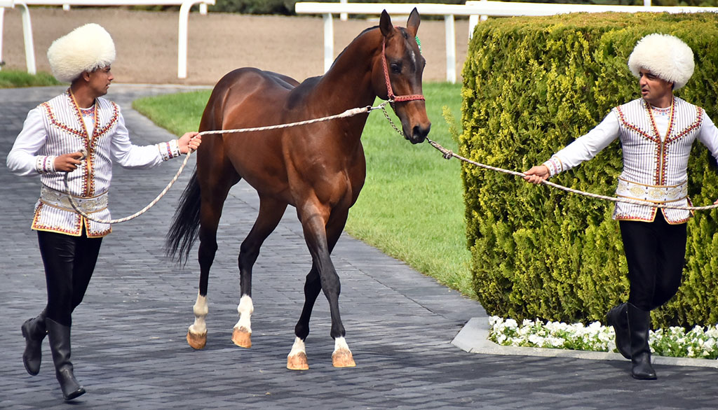 Celebration events take place in the Presidential Ahalteke Equestrian Complex 