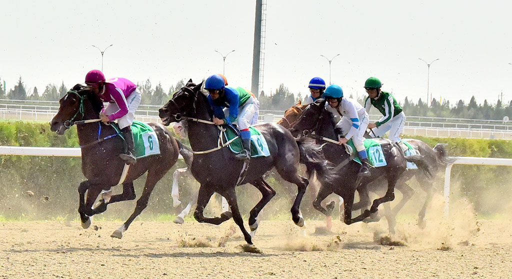 The Head of the State takes part in celebration events