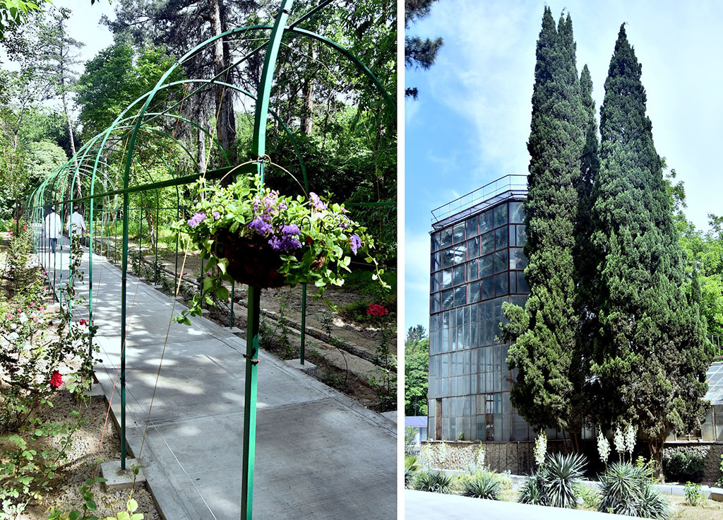 Green island in the heart of White city: New Life of Ashgabat botanic garden 