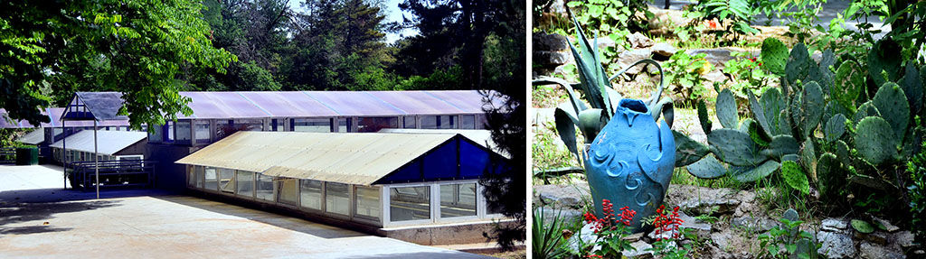 Green island in the heart of White city: New Life of Ashgabat botanic garden 