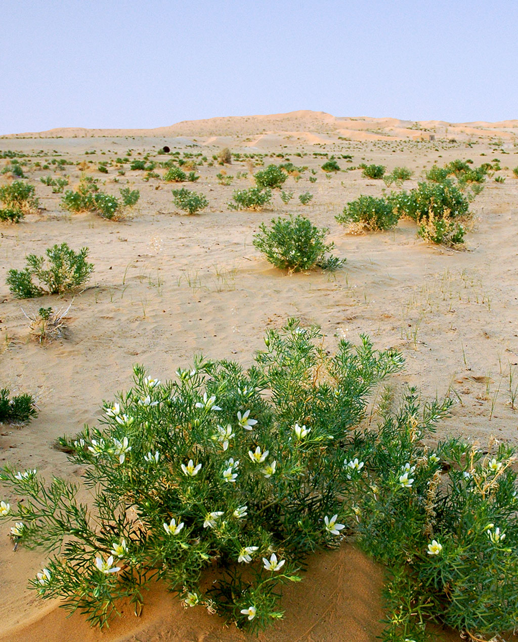 State policy in environment protection in the agenda of the Forum