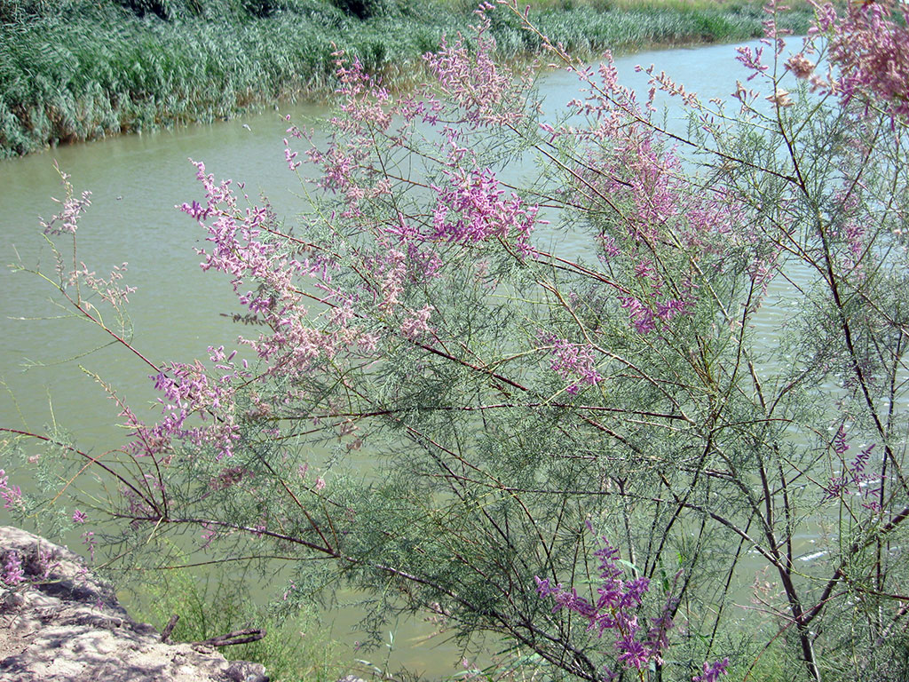 State policy in environment protection in the agenda of the Forum