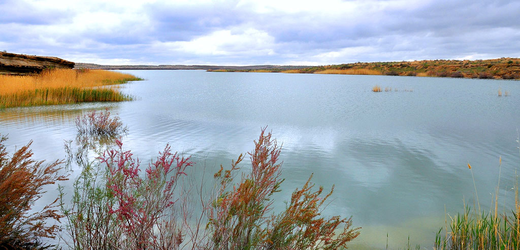 State policy in environment protection in the agenda of the Forum