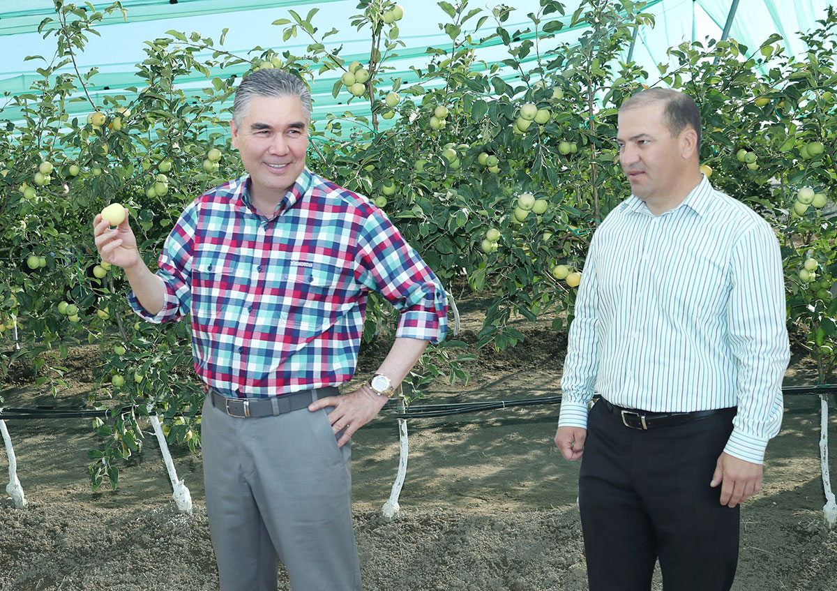 The President of Turkmenistan inspects reforms in agrarian sphere of Mary Velayat 