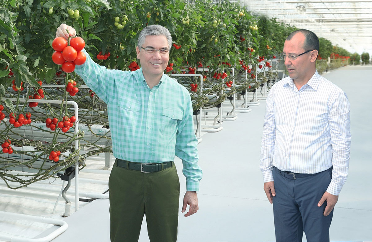 The President of Turkmenistan inspects the development of agricultural sphere of Dashoguz Velayat