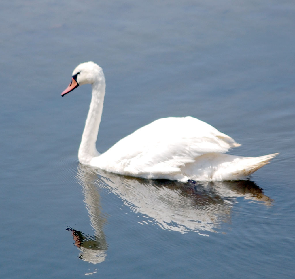 Garagumyň gözellik dünýäsine syýahat: Zeňňi baba köli