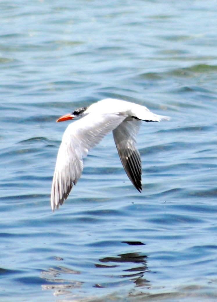 Garagumyň gözellik dünýäsine syýahat: Zeňňi baba köli