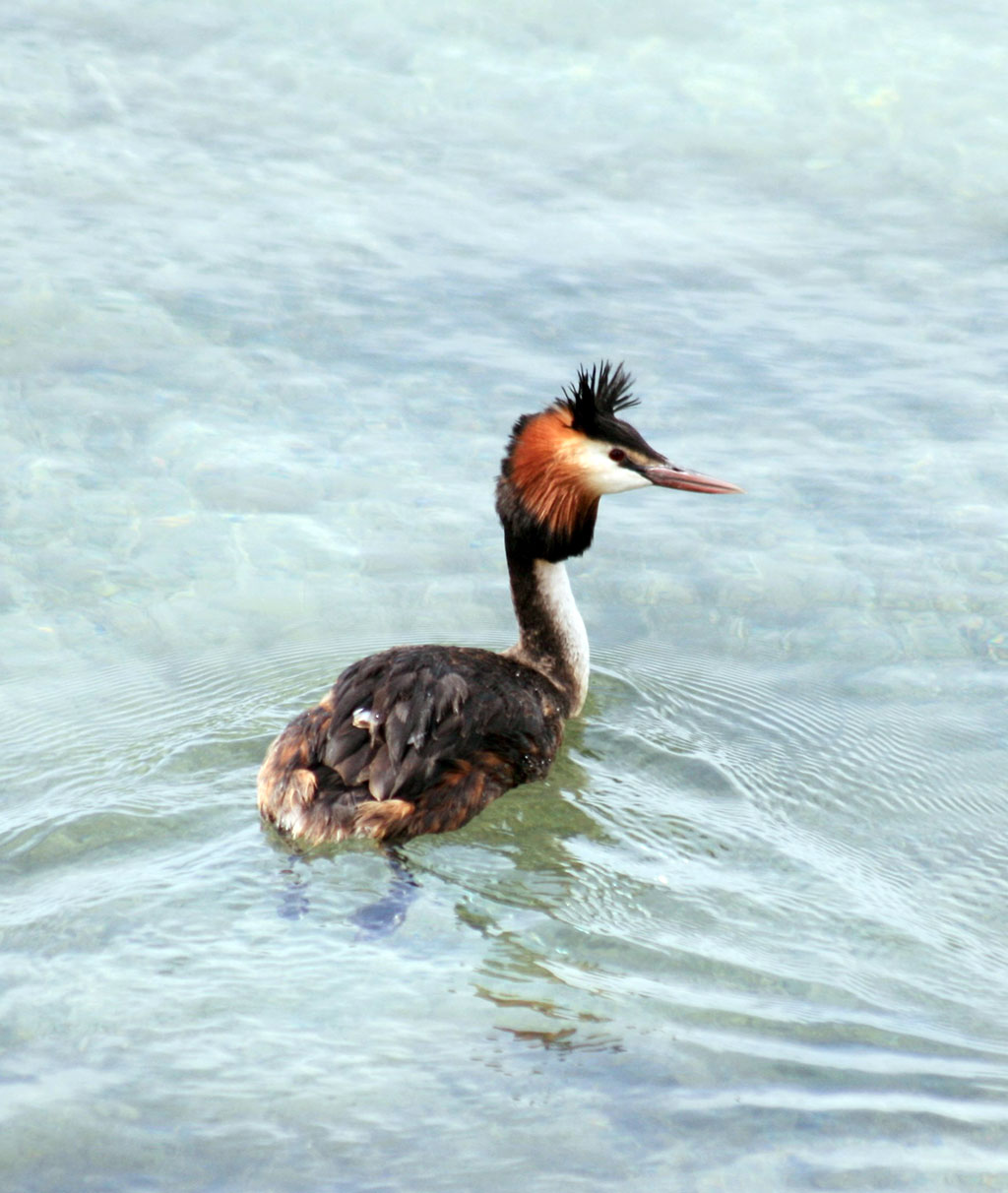 Garagumyň gözellik dünýäsine syýahat: Zeňňi baba köli