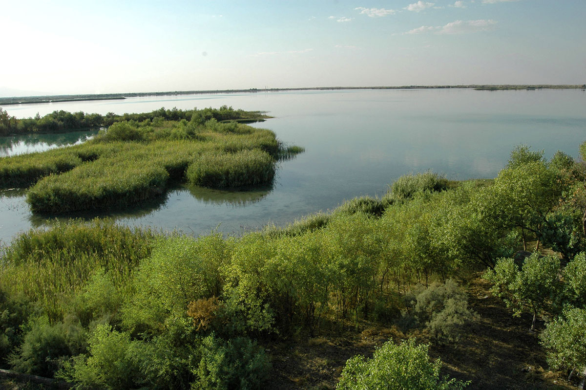 Dynç alyş zolagy we wetland-seýilgäh: «Altyn kölüň» geljegine alymyň garaýşy