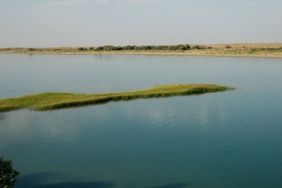 Dynç alyş zolagy we wetland-seýilgäh: «Altyn kölüň» geljegine alymyň garaýşy