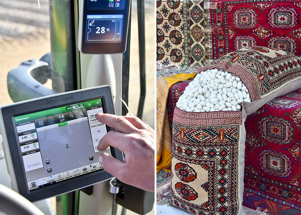 Factors of sustainable development: Provision of food abundance