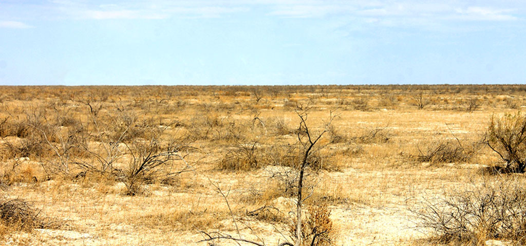  Türkmen tebigatynyň gözellik dünýäsine syýahat: Sarygamyş çäkli goraghanasy  