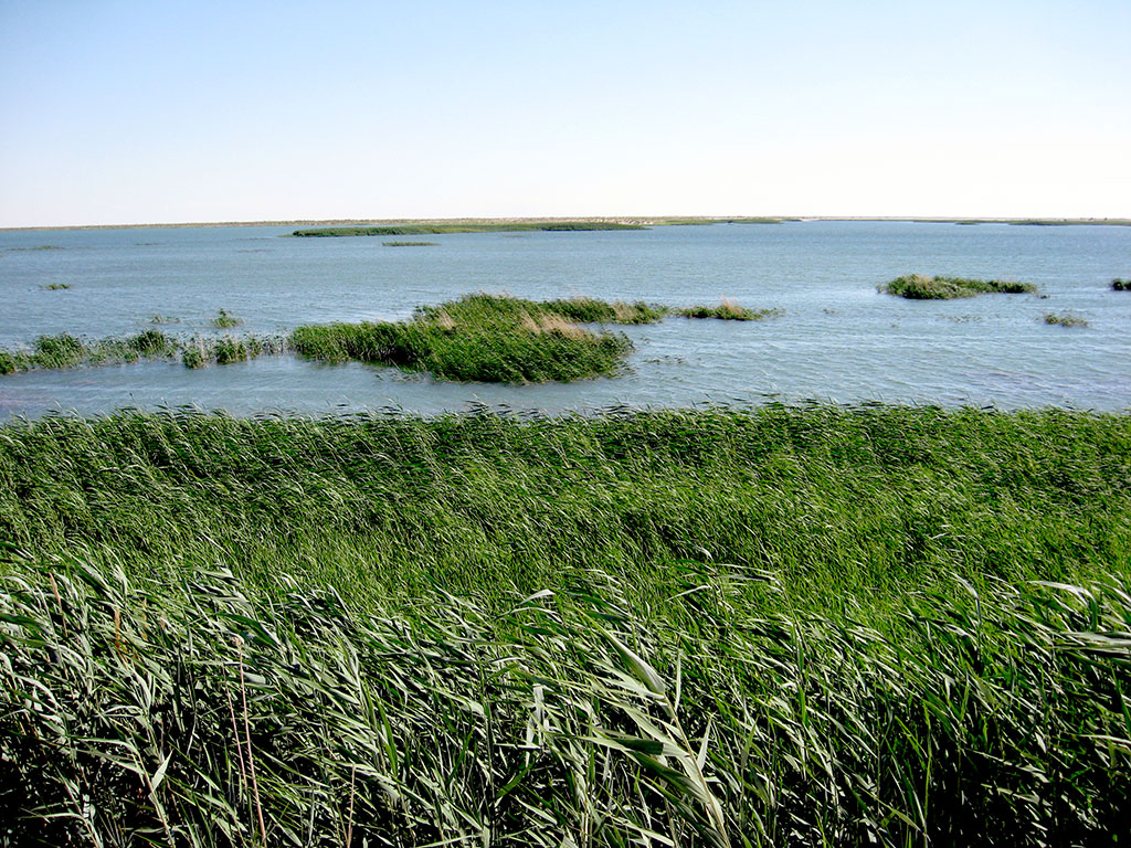 Vectors of ecological policy: National interests and international cooperation