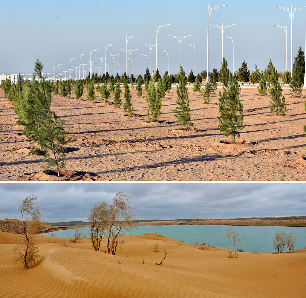 Vectors of ecological policy: National interests and international cooperation