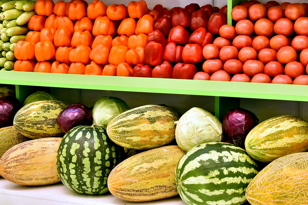 Implementation of the Programme of social and economic development of Turkmenistan is a subject of a meeting