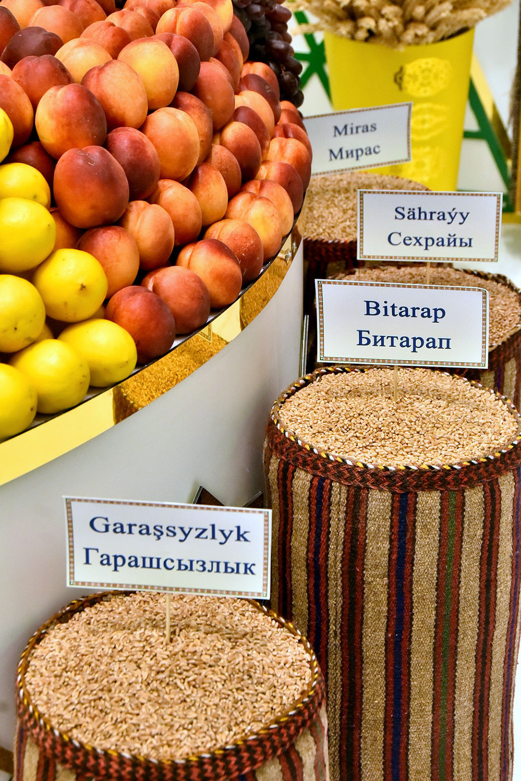 Implementation of the Programme of social and economic development of Turkmenistan is a subject of a meeting