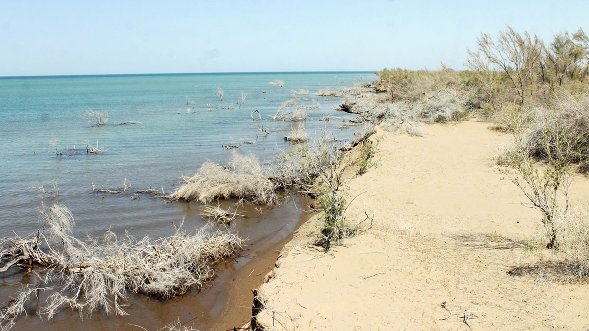 Türkmen tebigatynyň gözellik dünýäsine syýahat: Sarygamyş köli
